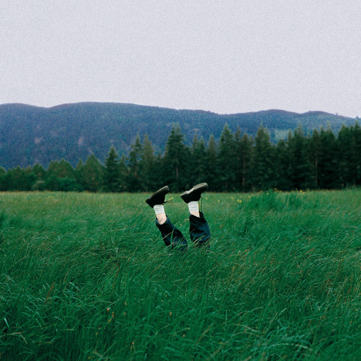 Album cover of James