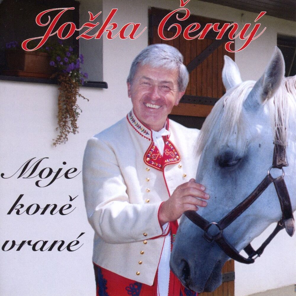 Picture of Moje koně vrané