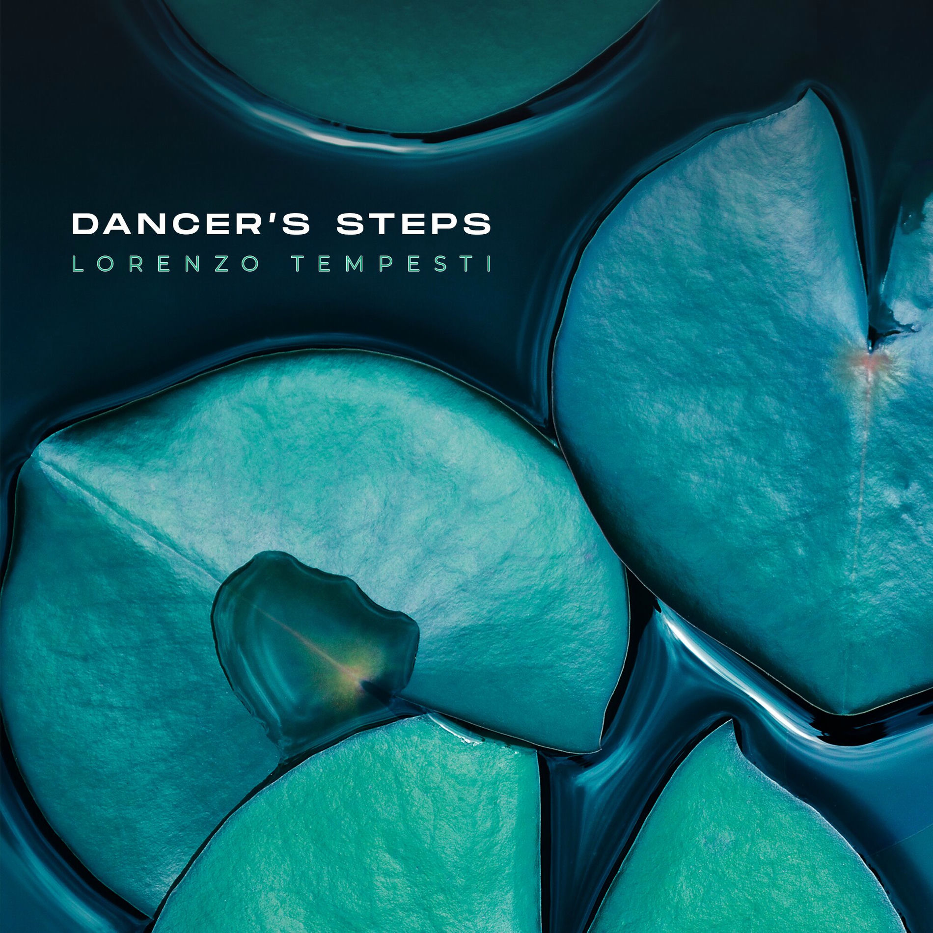 Album cover of Dancer's Steps