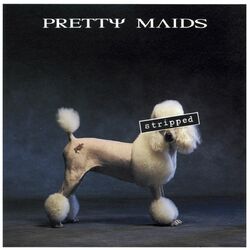 Cover of Stripped