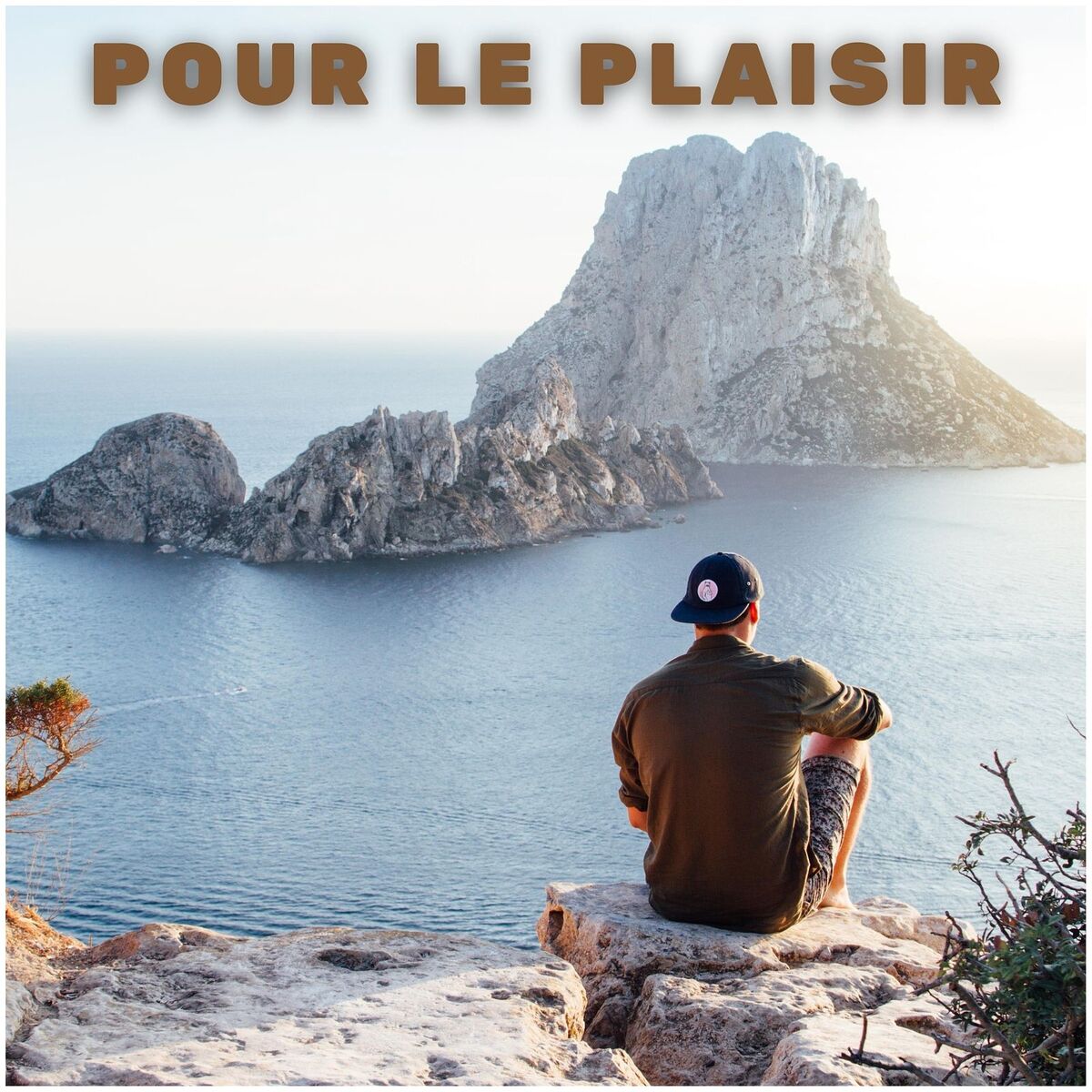 Album cover of Pour le plaisir