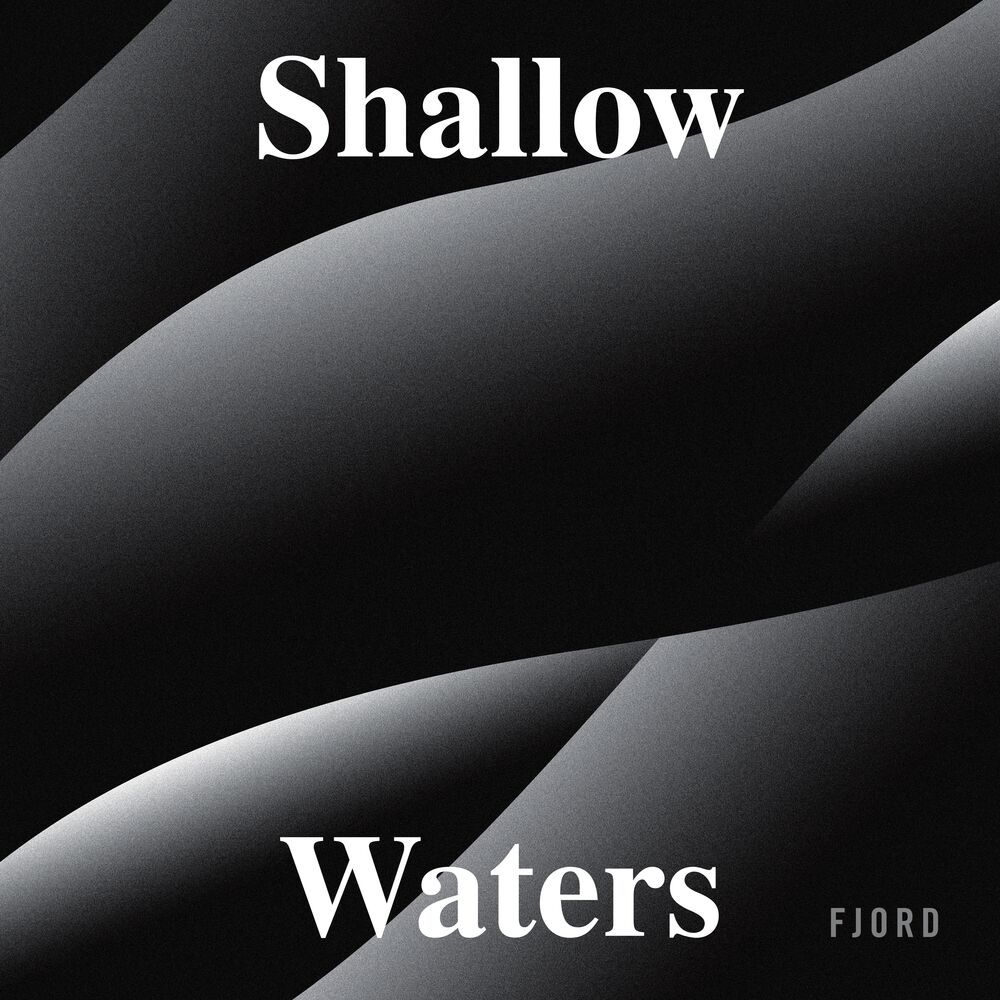 Picture of Shallow Waters