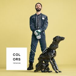 Cover of A COLORS SHOW