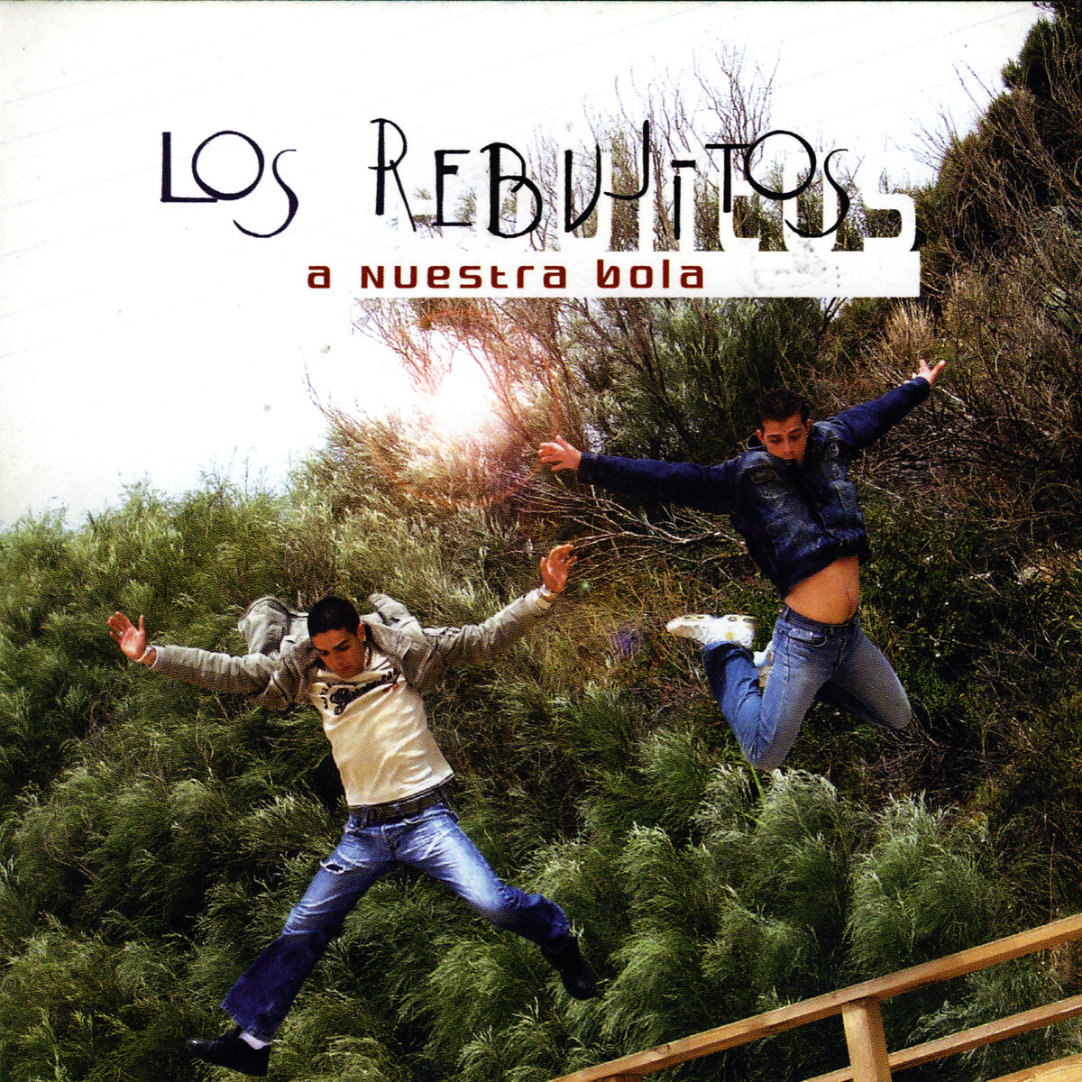 Album cover of Volar
