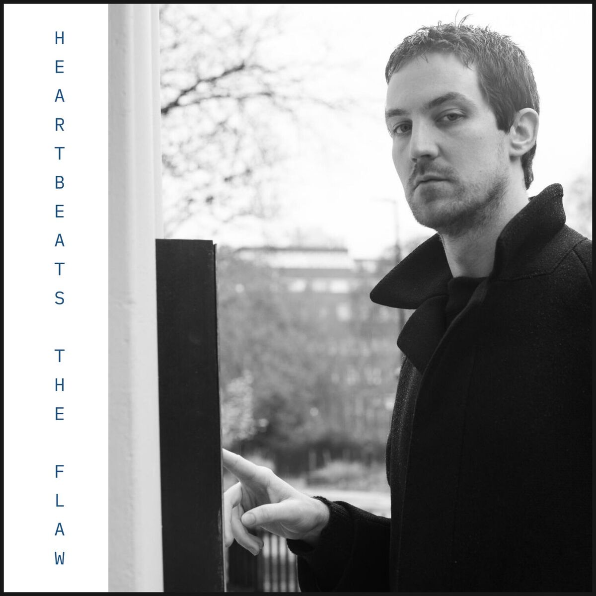 Album cover of Heartbeats the Flaw