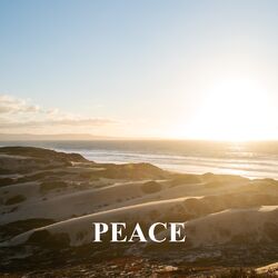 Cover of Peace