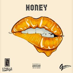 Cover of Honey