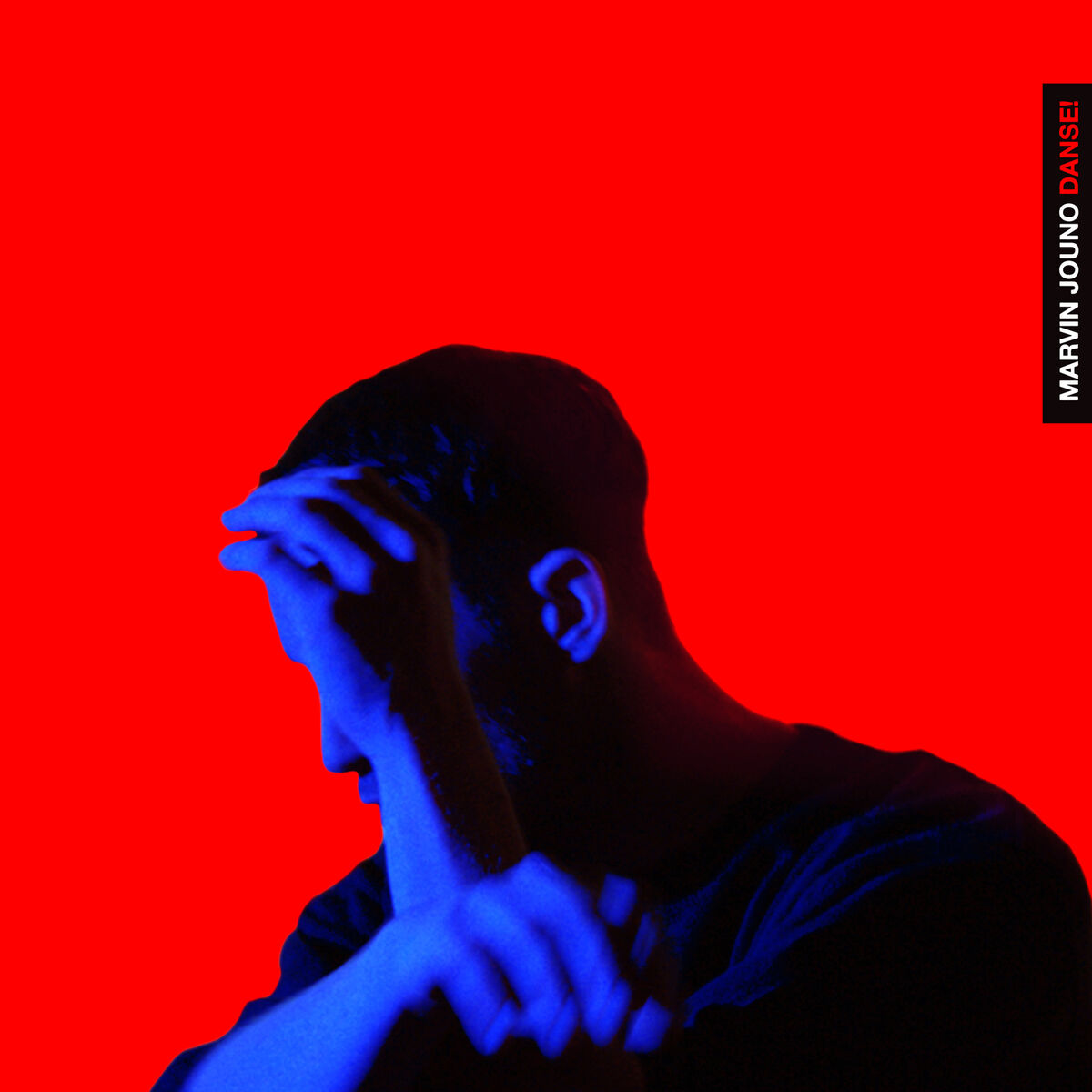 Album cover of Danse! (Radio Edit)