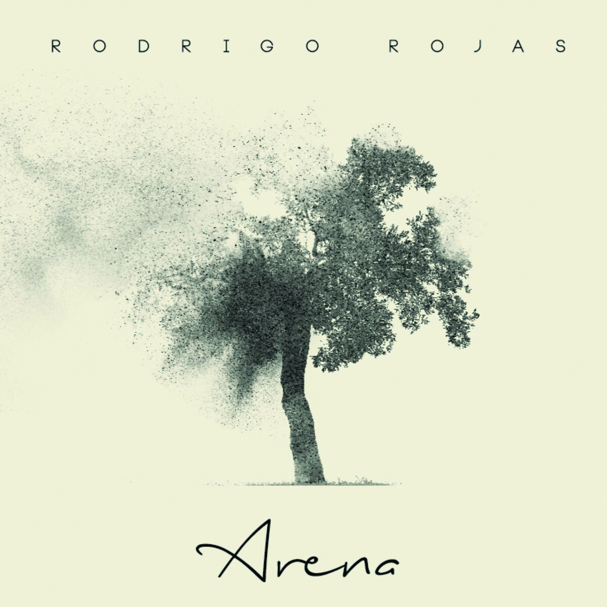 Album cover of Arena