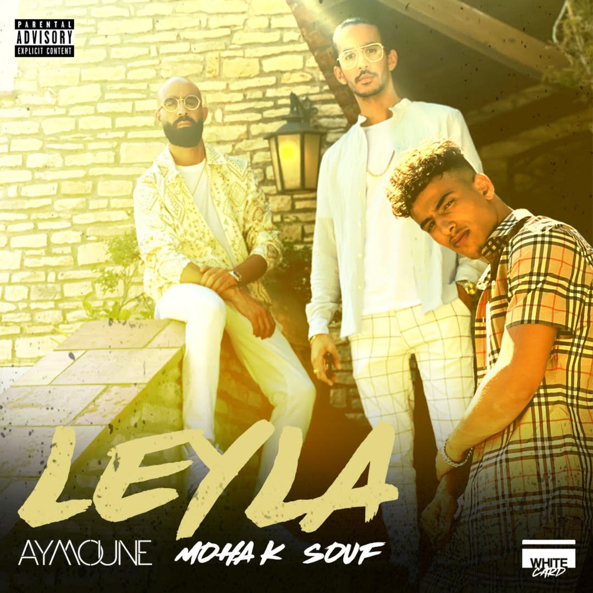 Album cover of Leyla