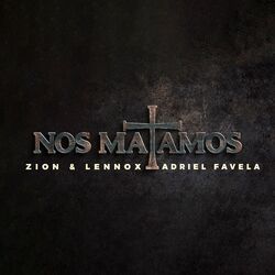 Cover of Nos Matamos