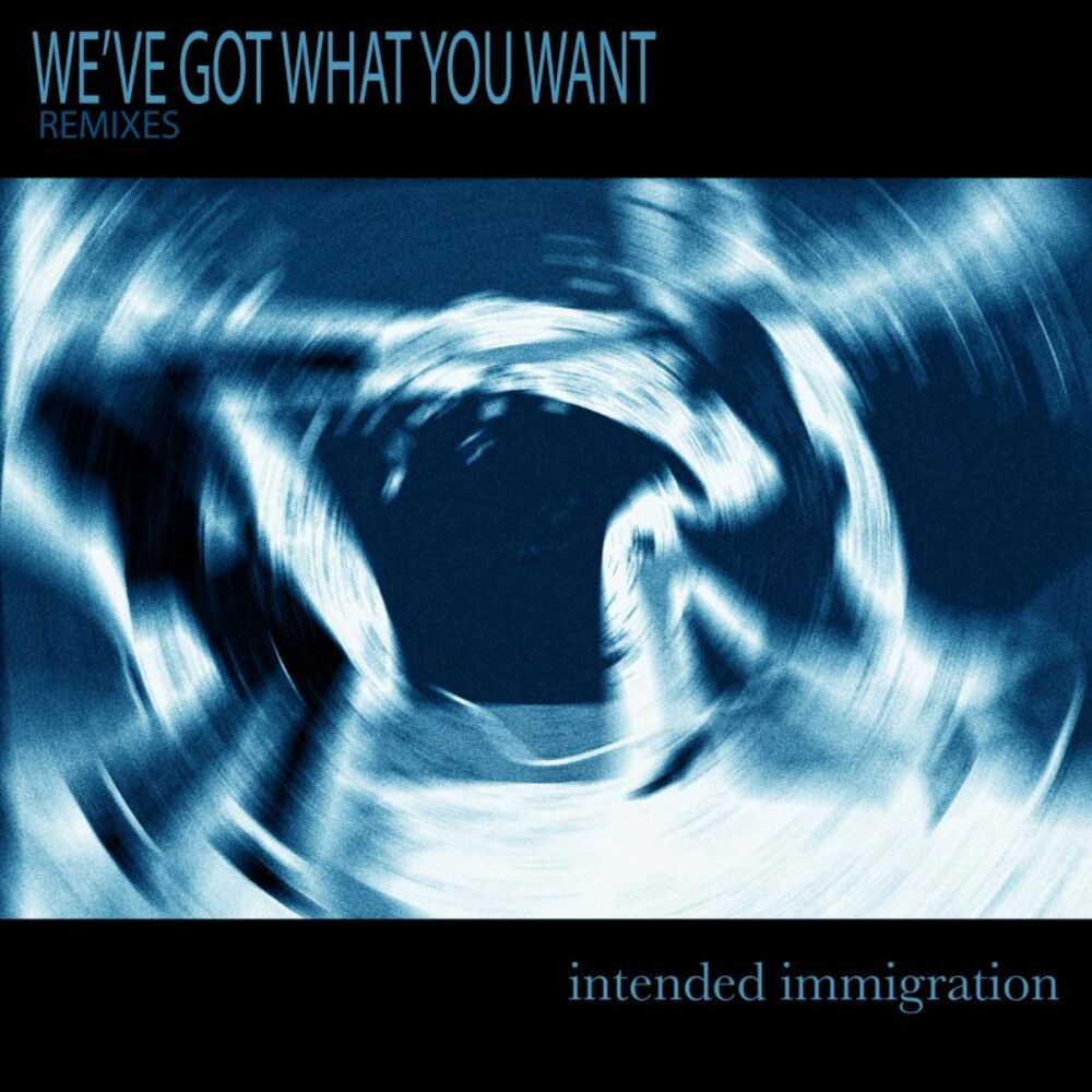 Picture of We've Got What You Want (Remixes)