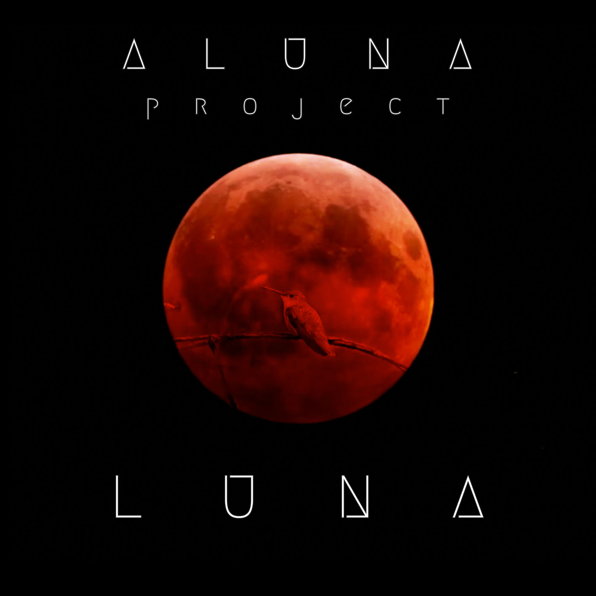Album cover of Luna