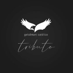 Cover of Hino do Get