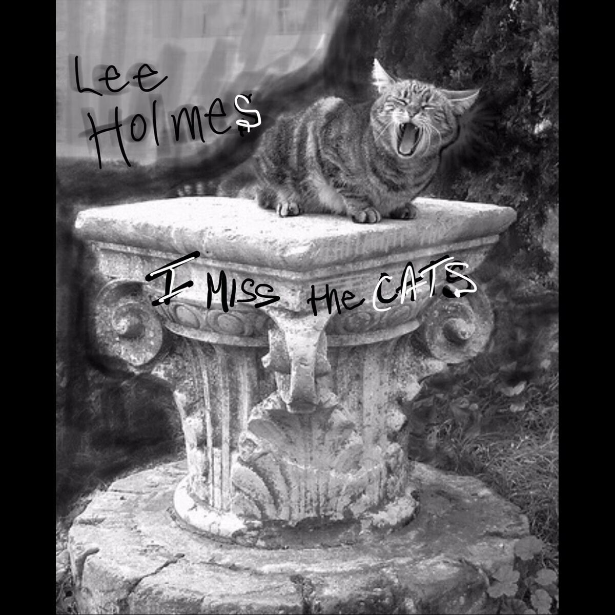 Album cover of I Miss the Cats