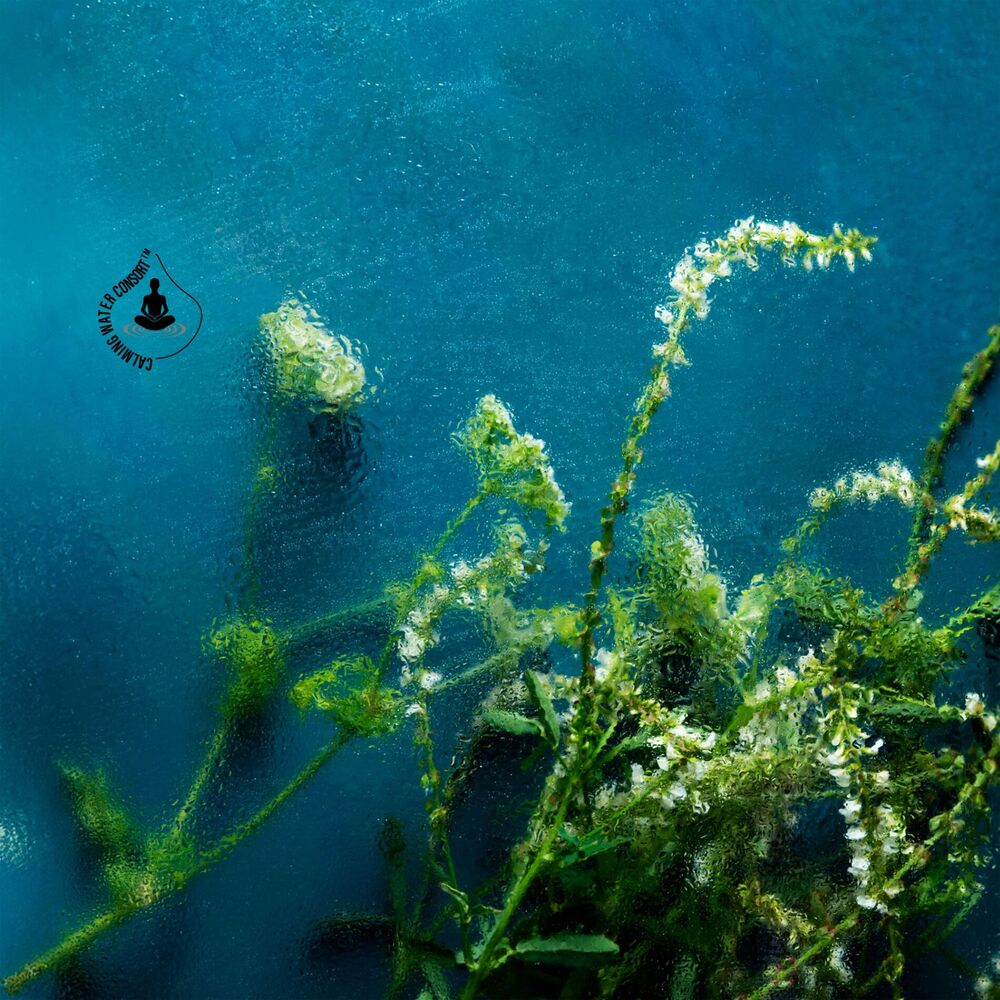 Picture of Beneath the Quiet Tide