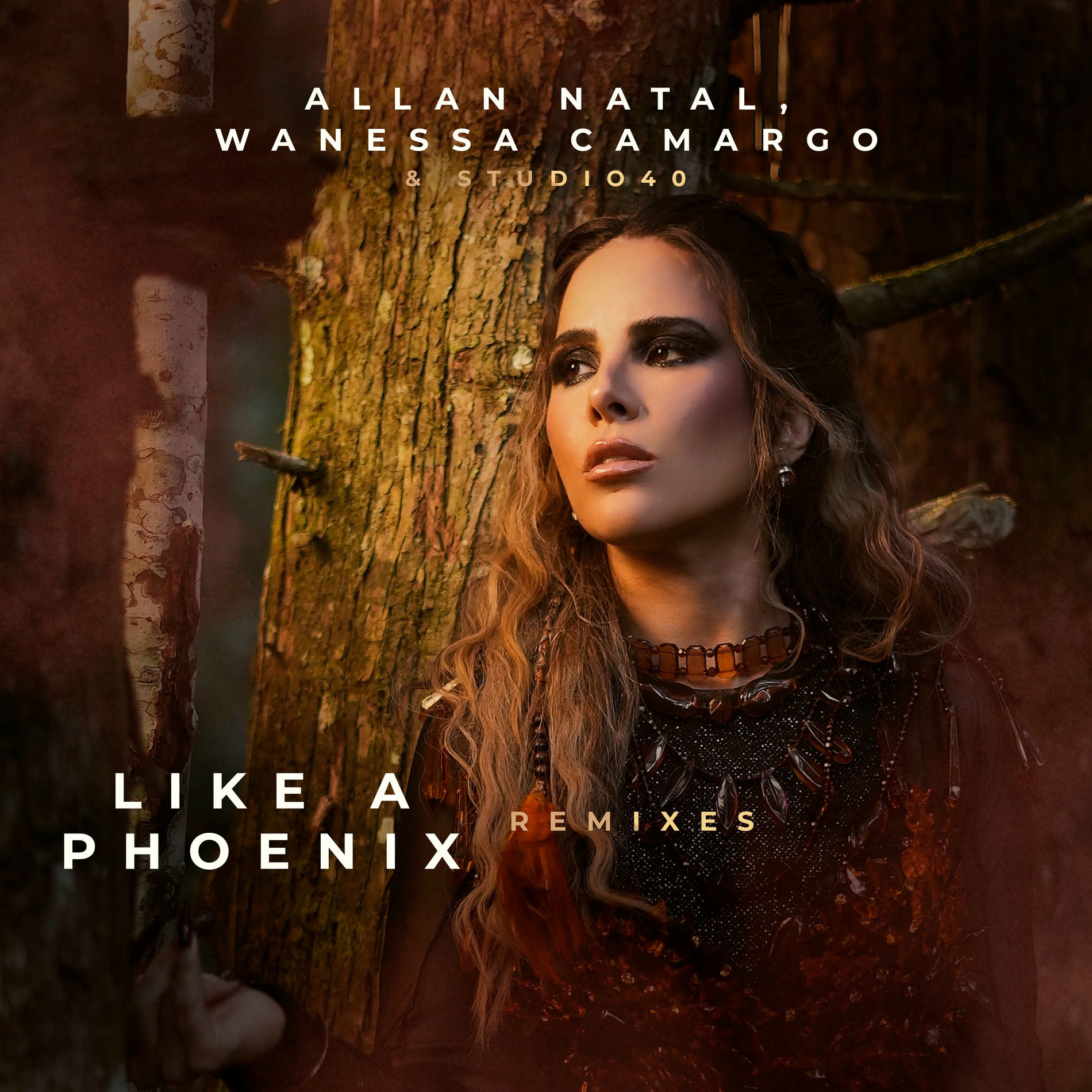 Album cover of Like a Phoenix (Remixes)