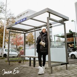Cover of Train de vie