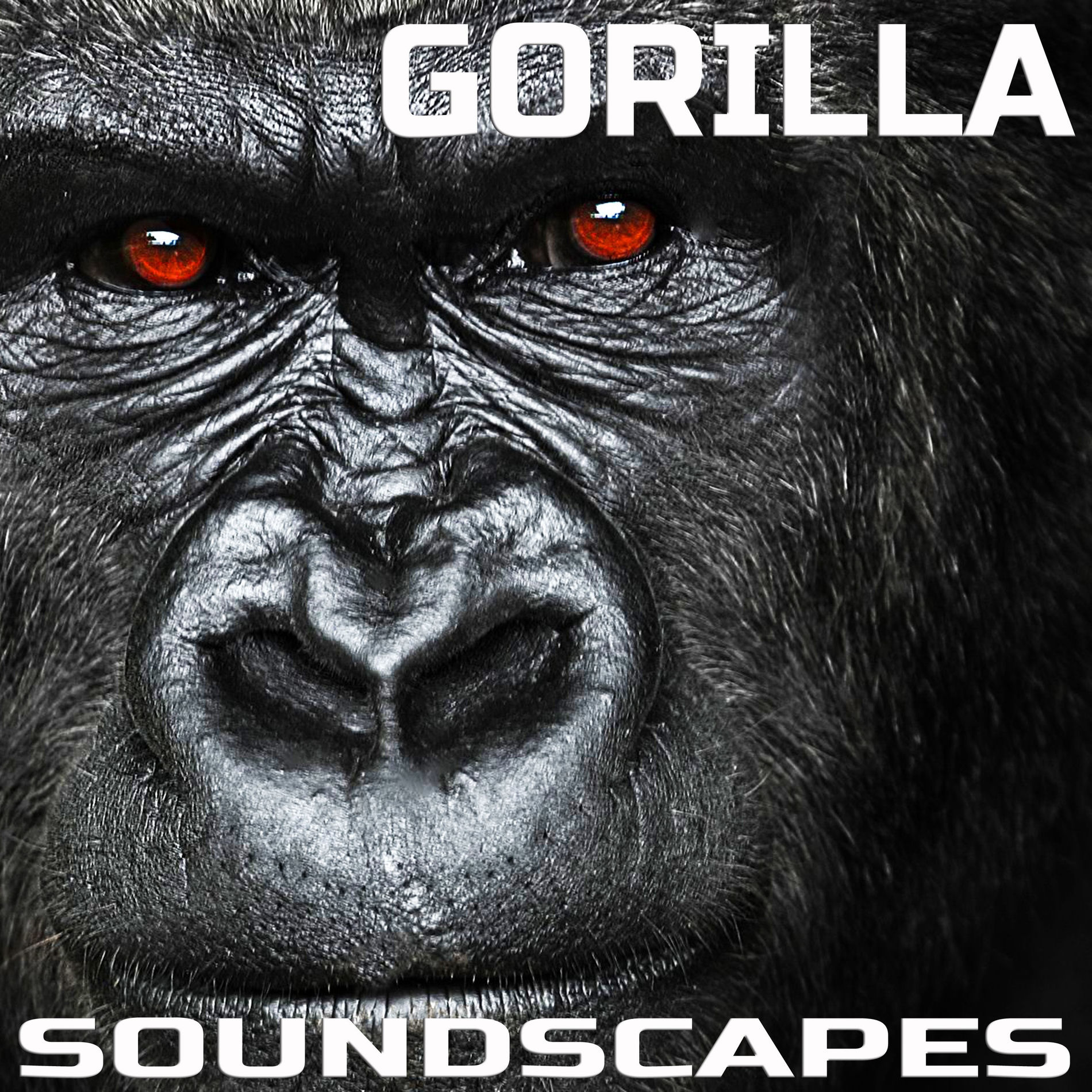 Gorilla Soundscapes - Gorilla Soundscapes | Deezer