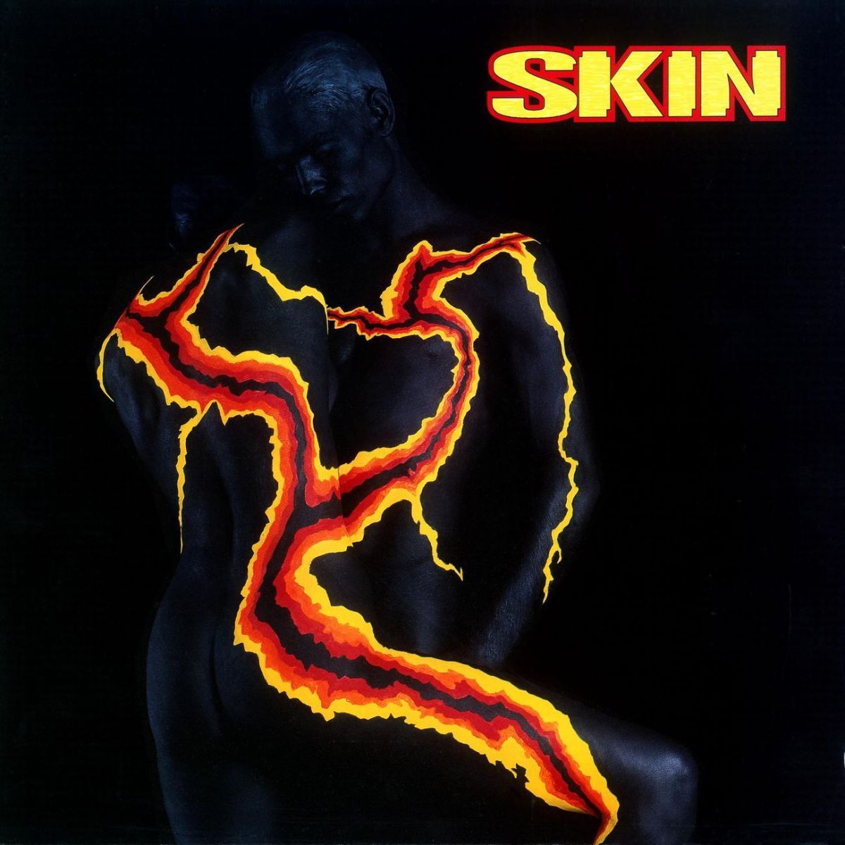 Album cover of Skin
