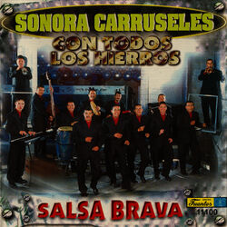 Cover of Con Todos los Hierros