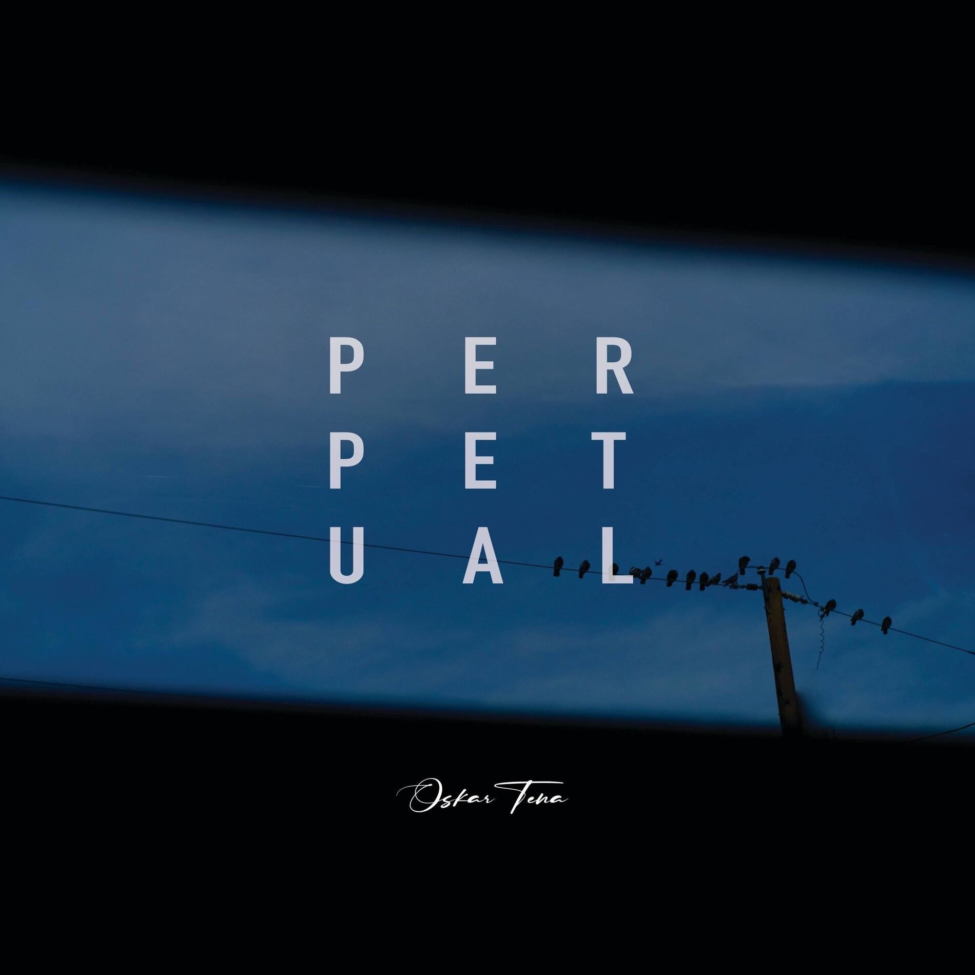 Album cover of Perpetual
