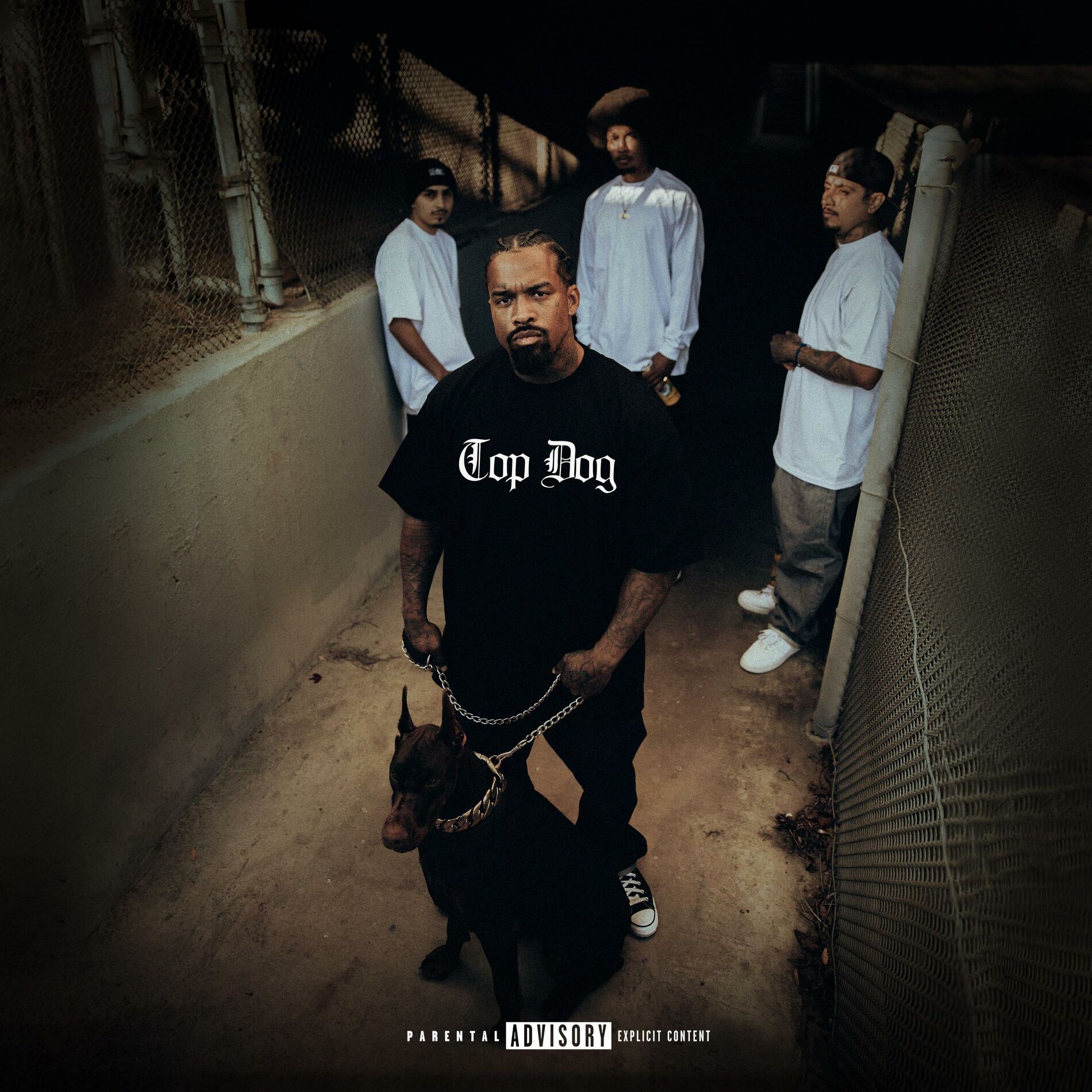 Album cover of Top Dog