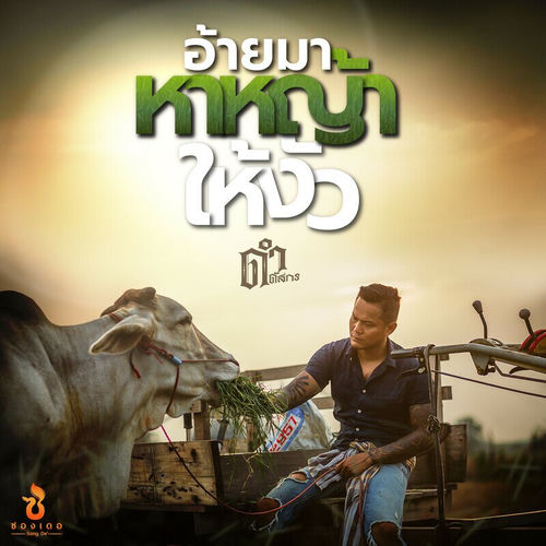 อ้ายมาหาหญ้าให้งัว