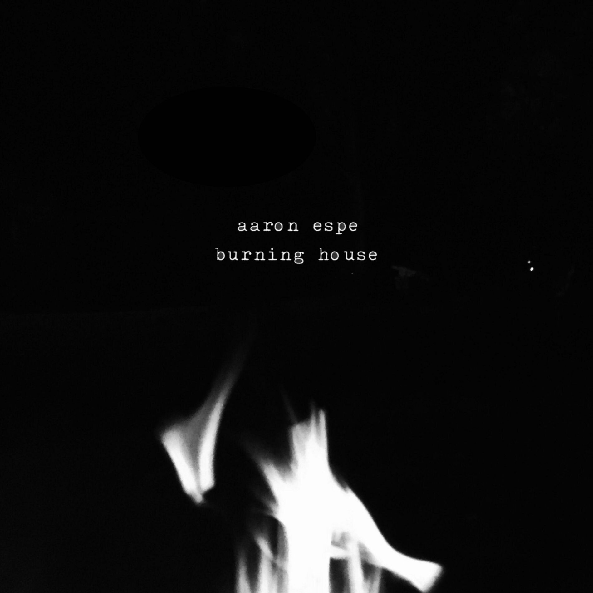 Album cover of Burning House