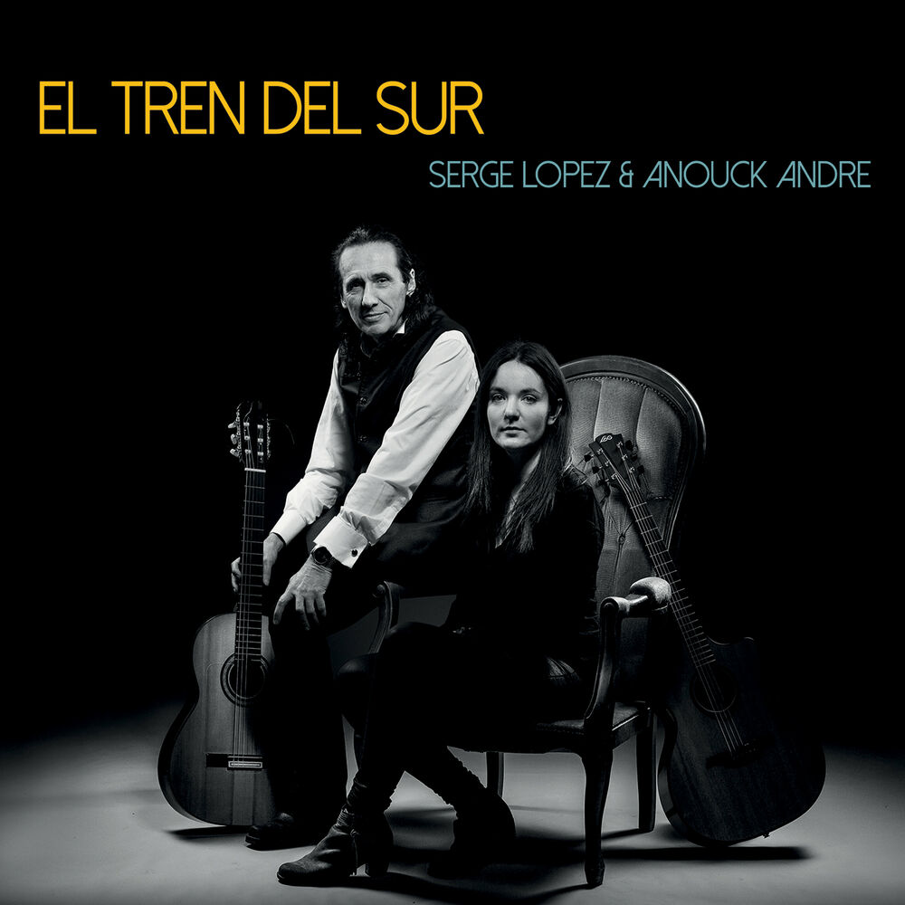 Picture of El tren del sur