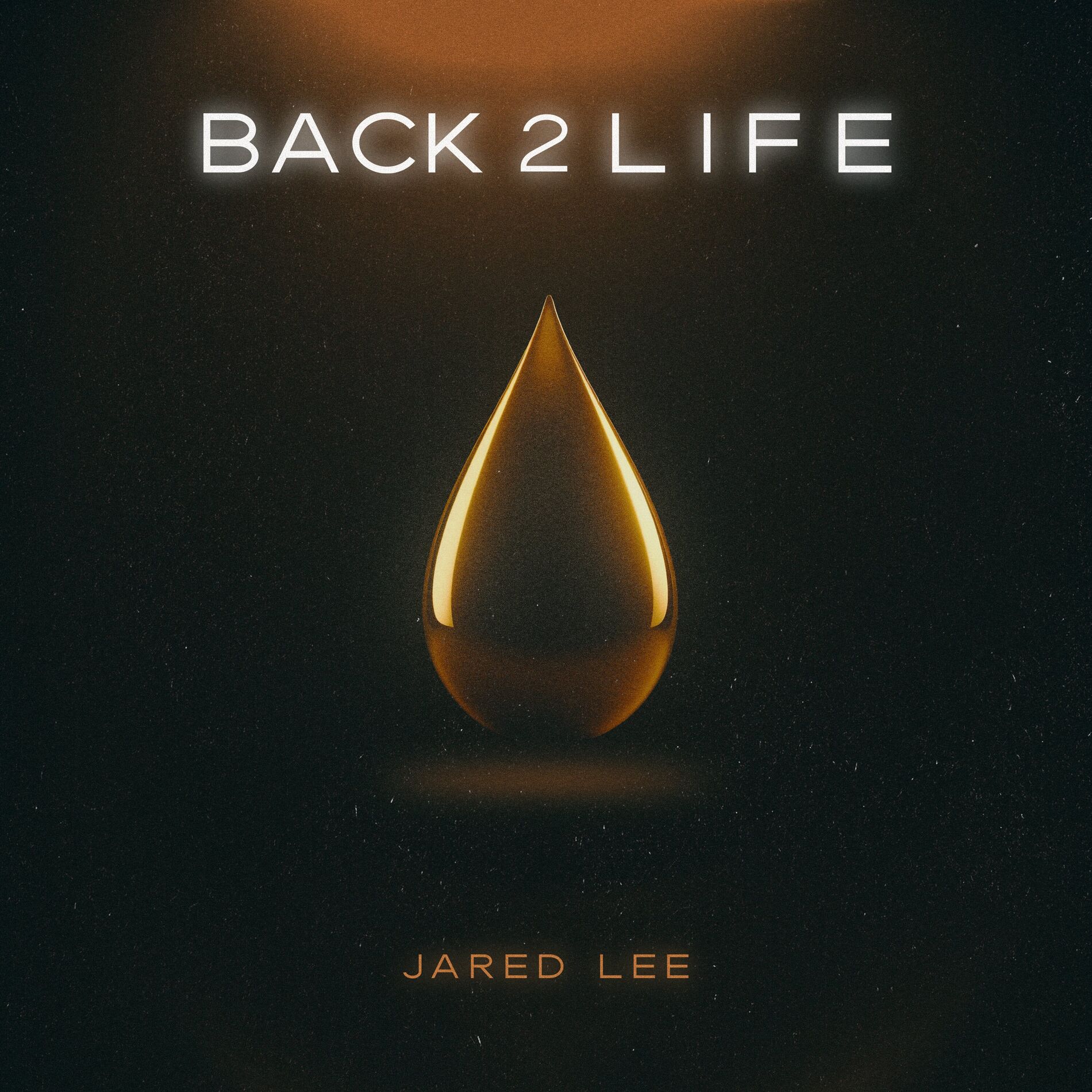 Album cover of Back 2 Life