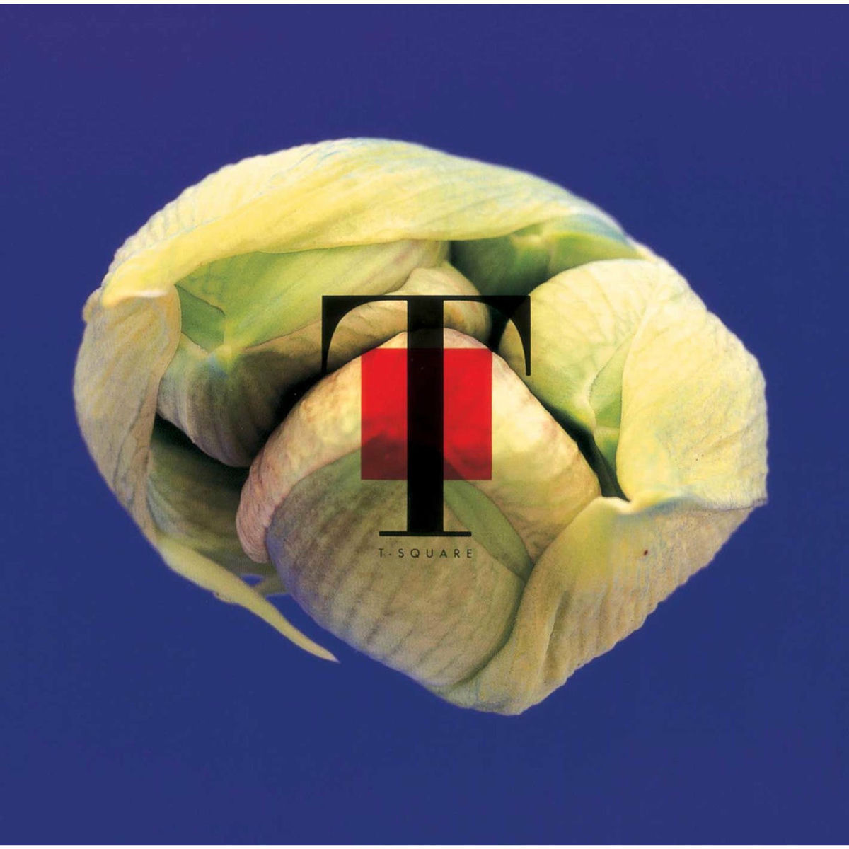 Album cover of NATURAL