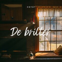 De briller
