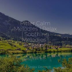 Cover of Pitter Calm Melodies | Relax | Soothing Melodies | Sleep