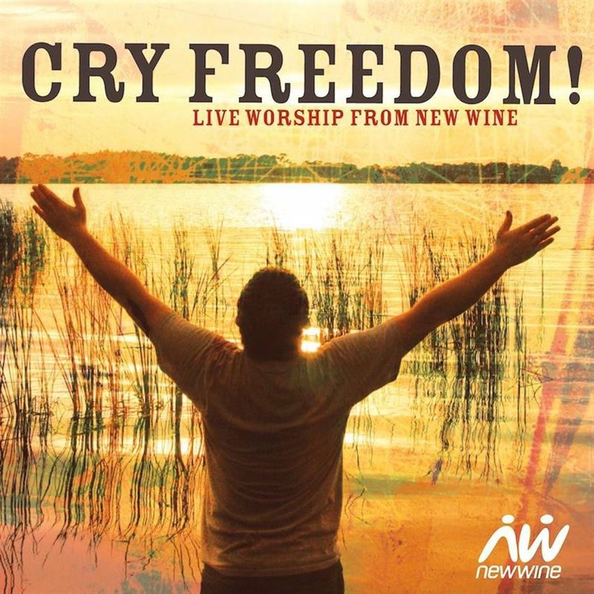 Album cover of Cry Freedom: Live Worship from New Wine