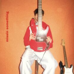 Cover of missin something