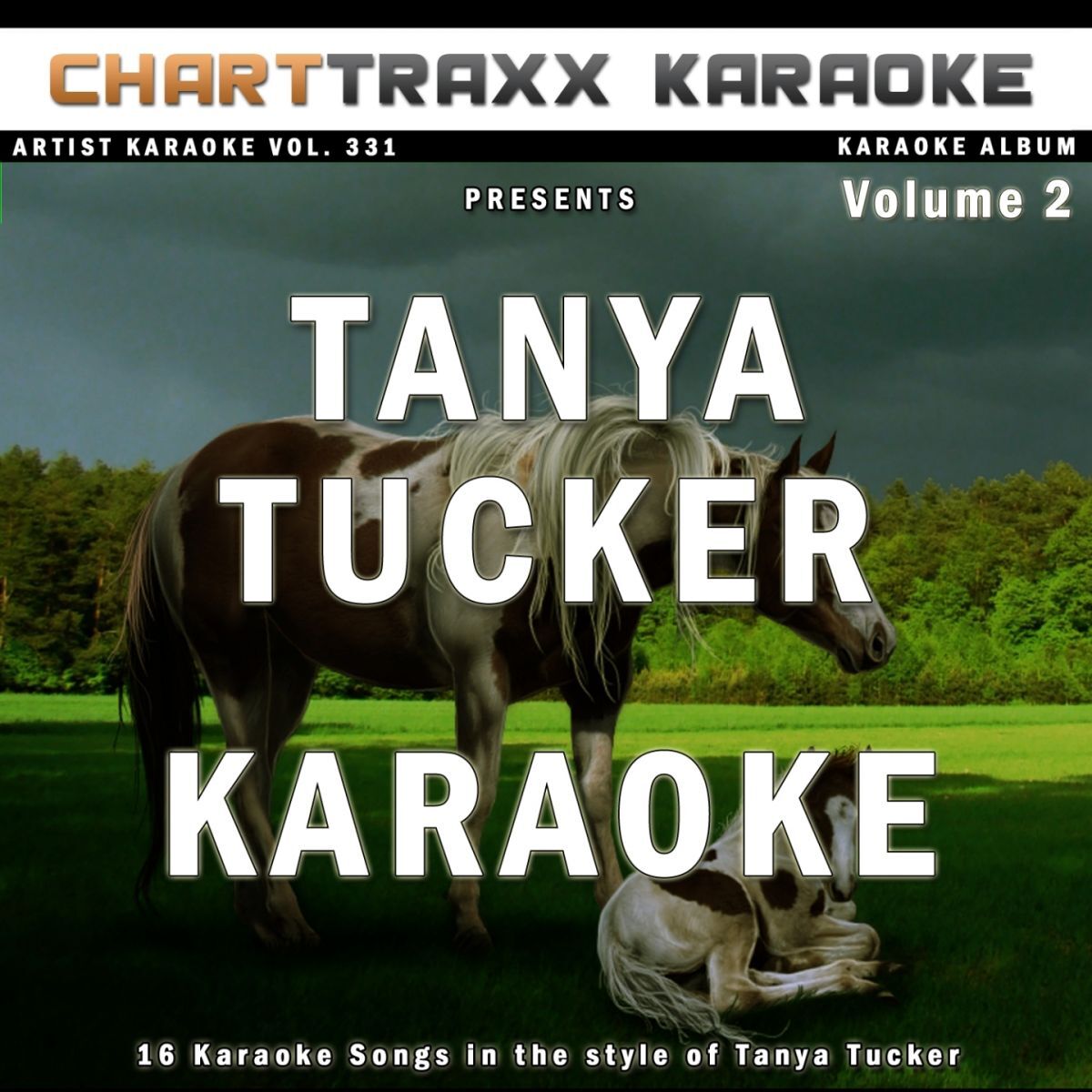 Album cover of Artist Karaoke, Vol. 331 : Sing the Songs of Tanya Tucker, Vol. 2 (Karaoke In the Style of Tanya Tucker)