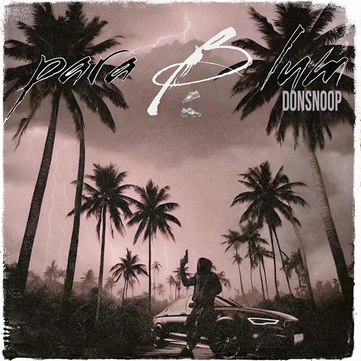 Album cover of paraBlum