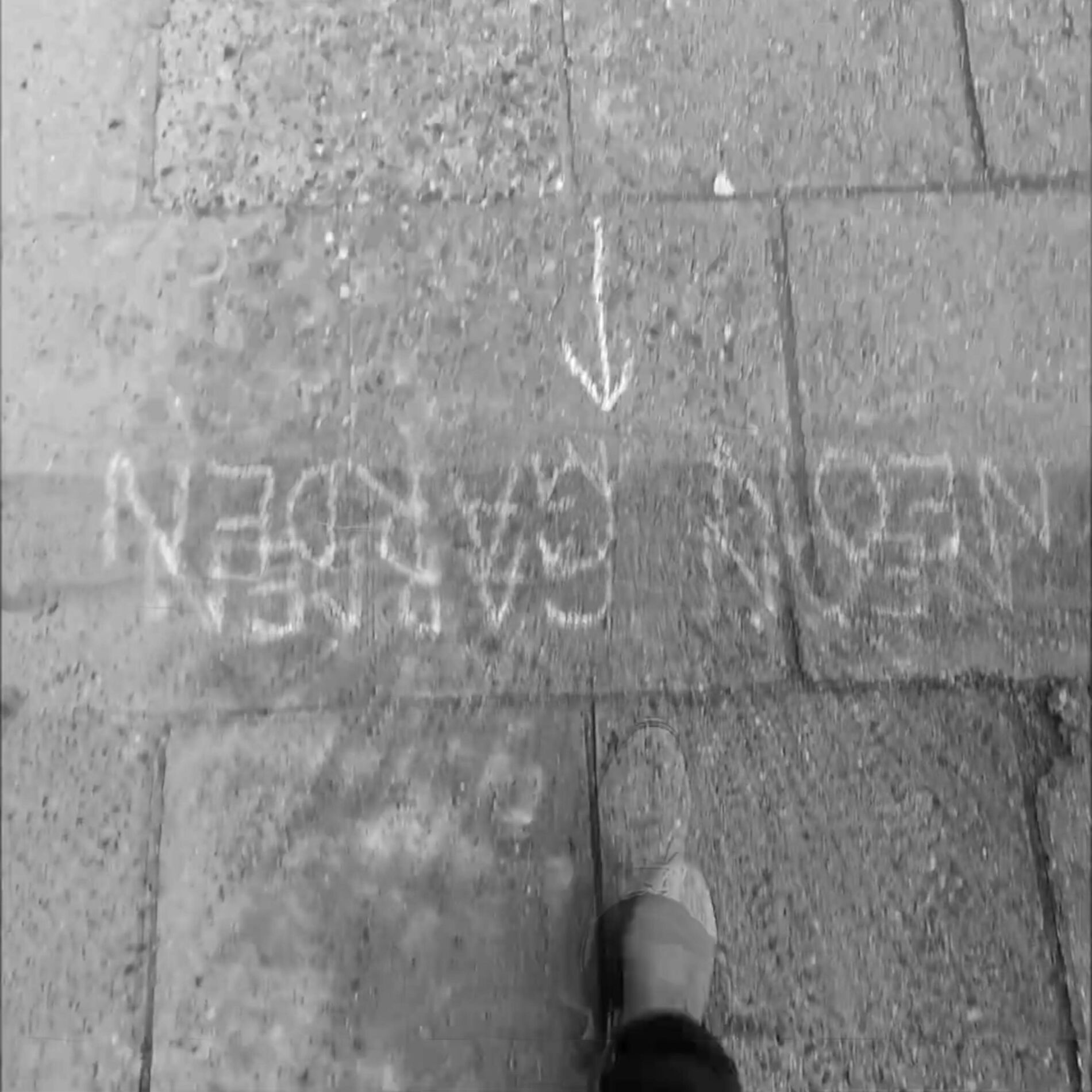 Album cover of Neon Garden Reprise (Live)