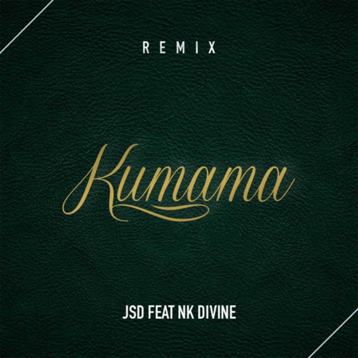Album cover of Kumama Remix