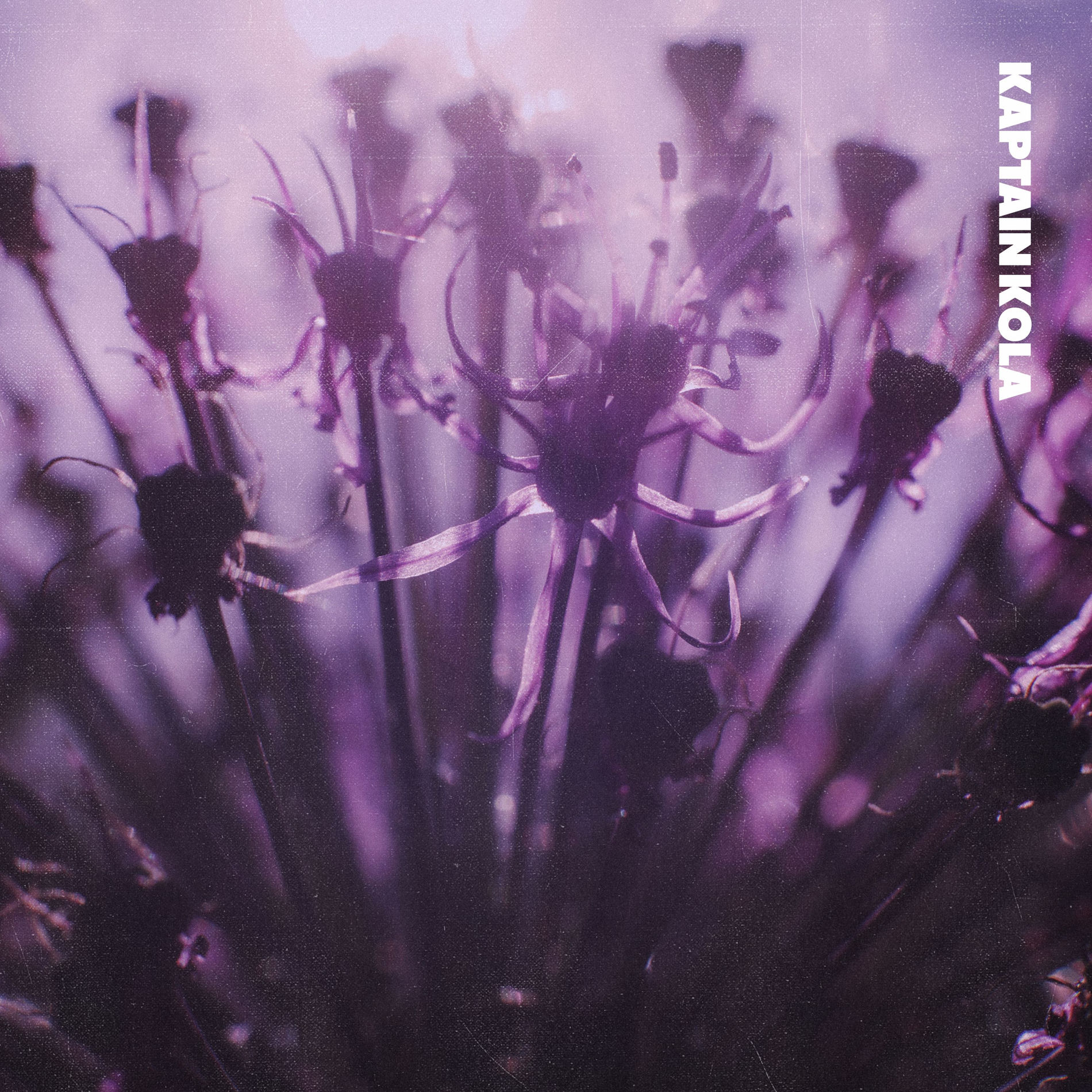 Album cover of soft minds