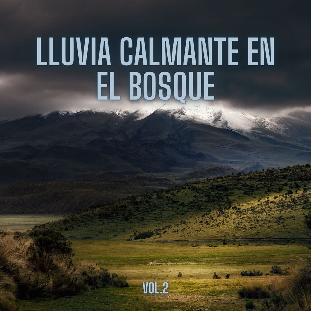 Picture of Lluvia Calmante En El Bosque, Vol. 2