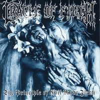 洋楽 Nitty Temptations of the Flesh The Principle Of Evil Made Flesh - Cradle of Filth | Deezer