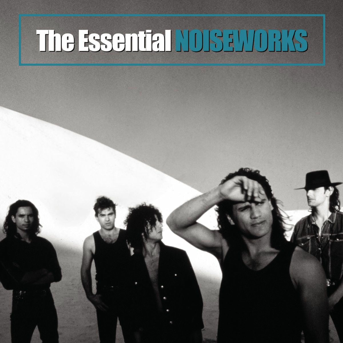 Album cover of The Essential