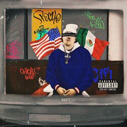 Cover of Pocho