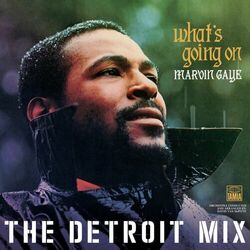 Cover of What’s Going On: The Detroit Mix