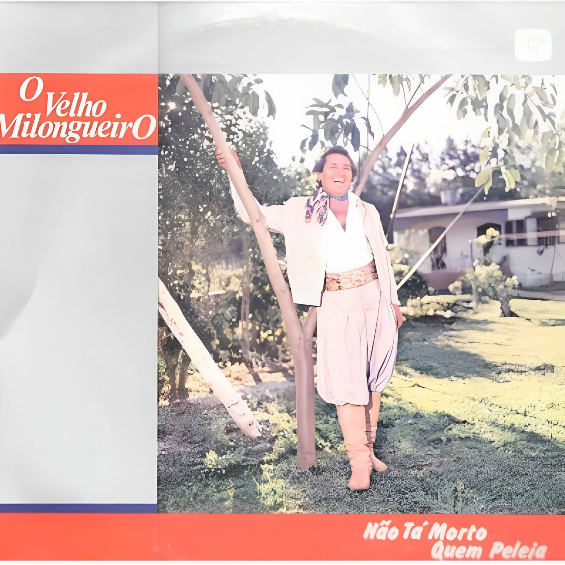 Album cover of Não Tá Morto Quem Peleia