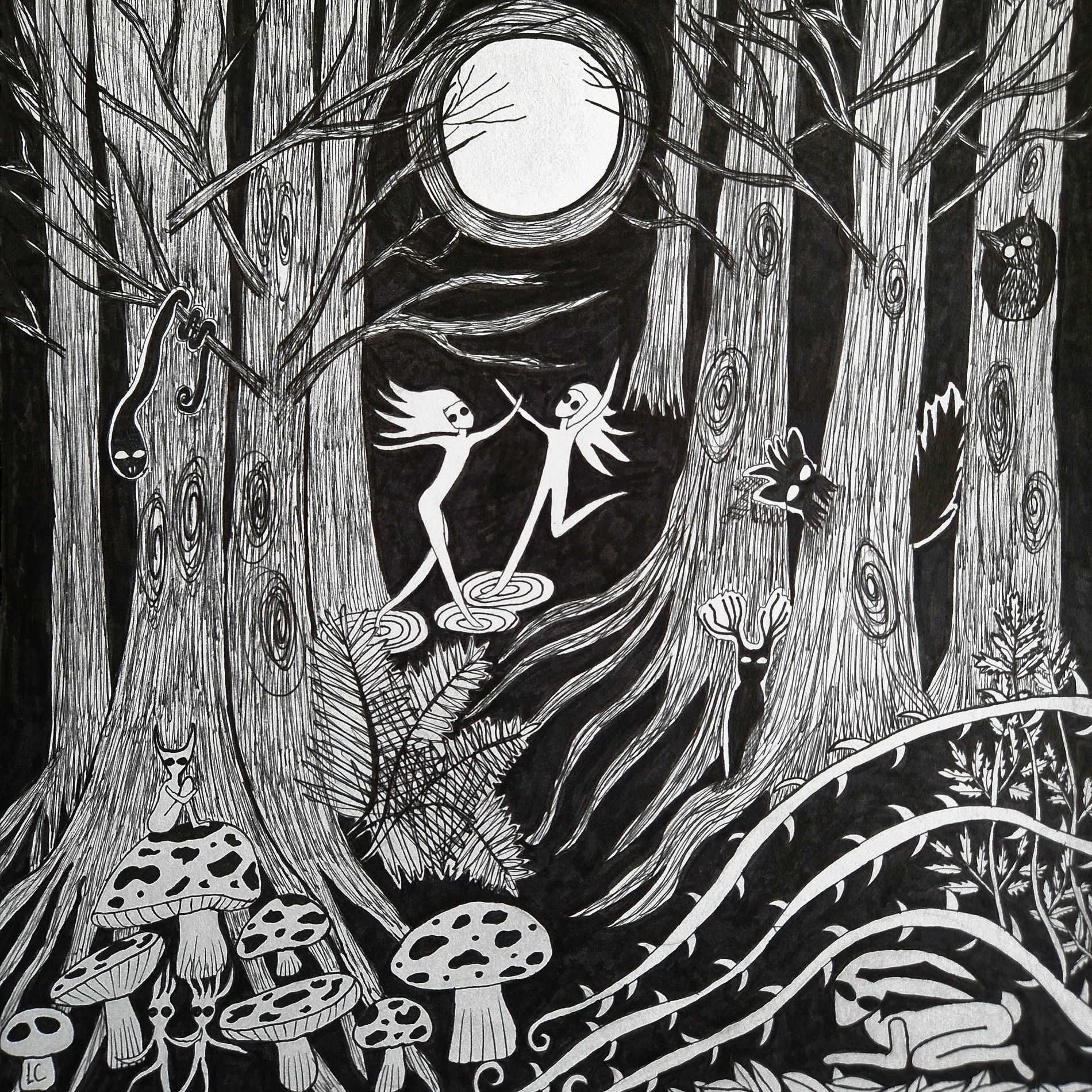 Album cover of Na Daoine Maithe (feat. Lonesome George & Múlú)
