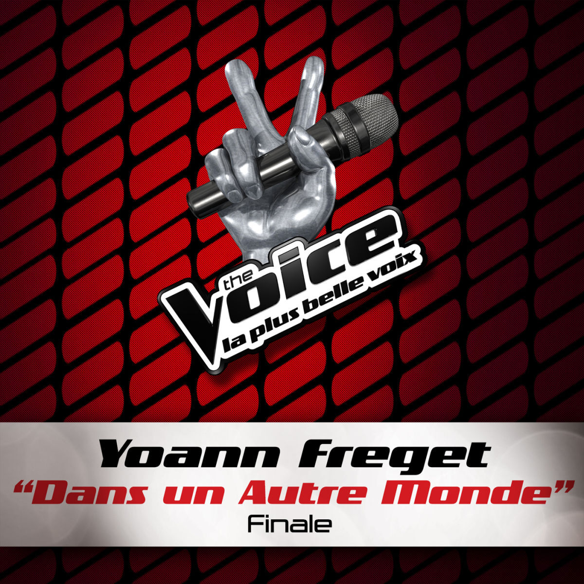 Album cover of Dans Un Autre Monde - The Voice 2