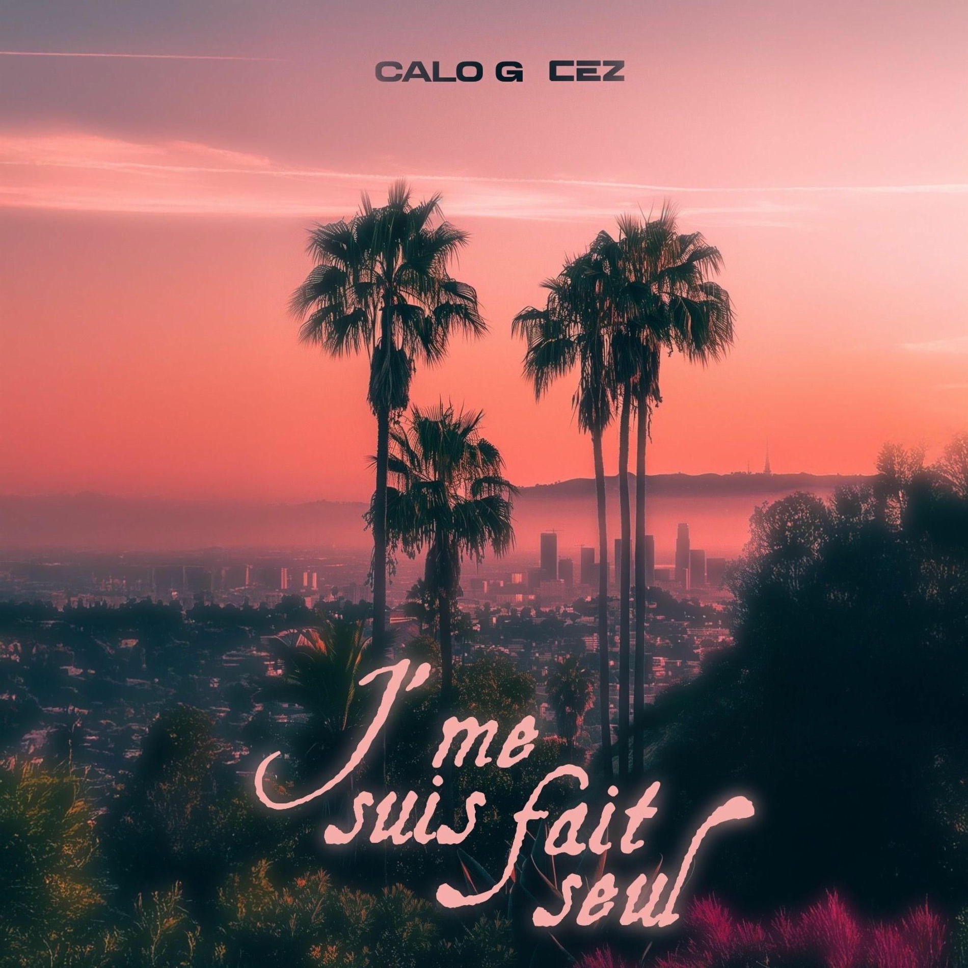 Album cover of J'me suis fait seul (feat. Calo G)